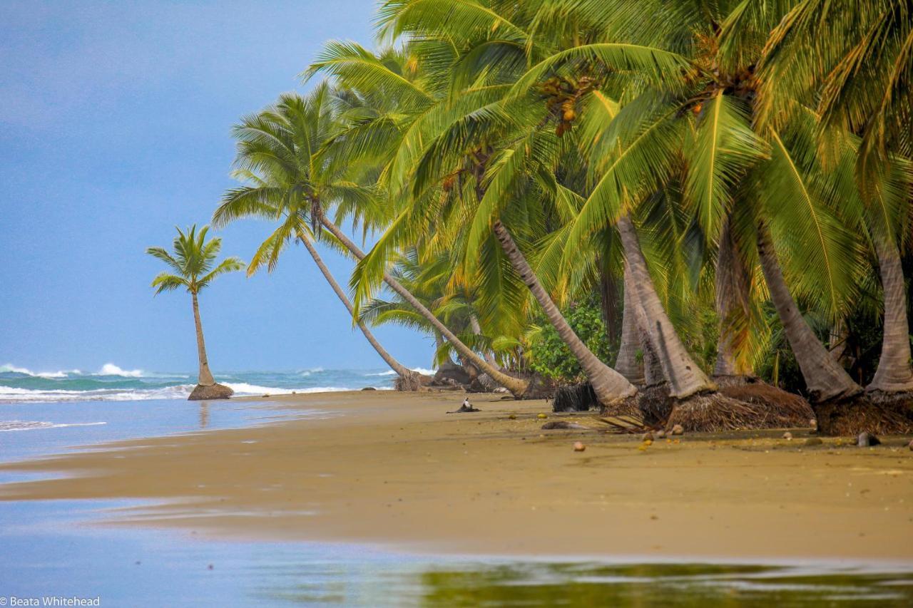 Edge Of The World Dominical Exterior photo